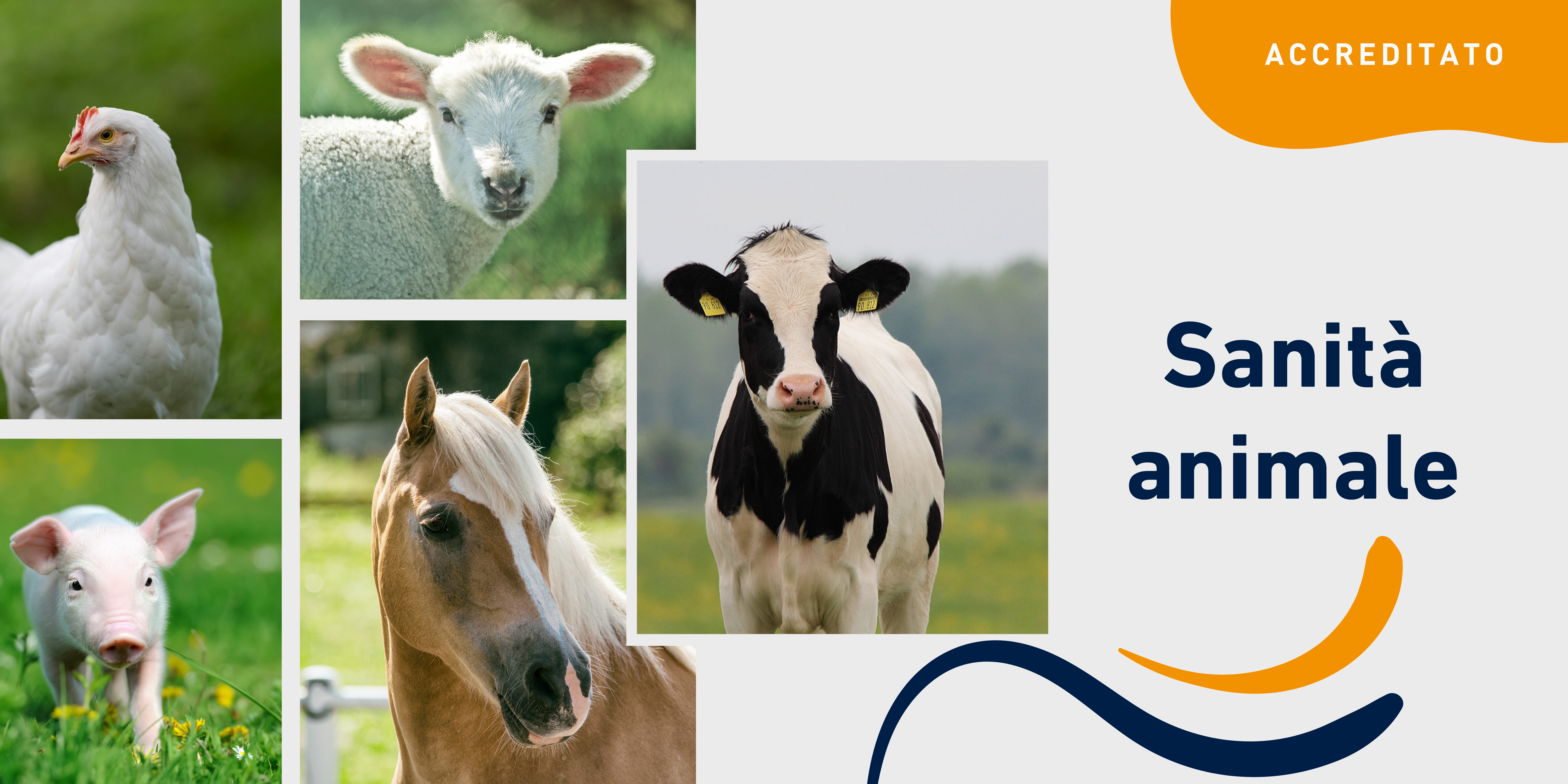 Sanità animale