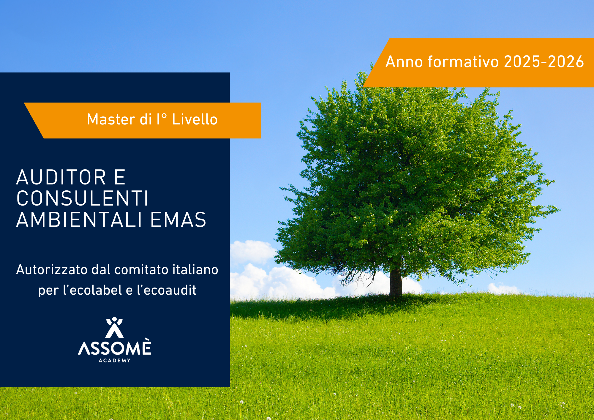 Master per Auditor e Consulenti Ambientali EMAS