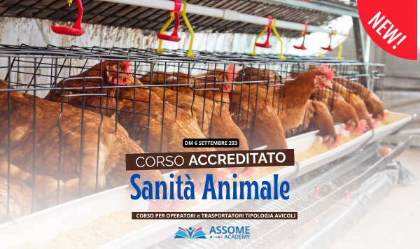 Sanità Animale - AVI-CUNICOLI