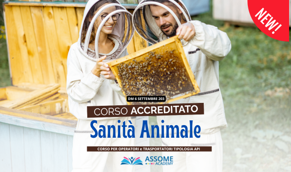 Sanità Animale - Api