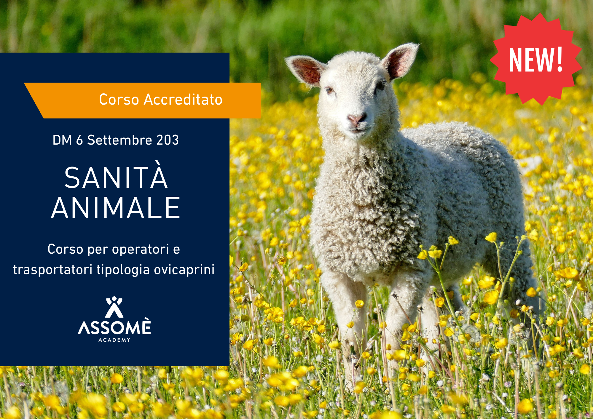 Sanità Animale - Ovi Caprini