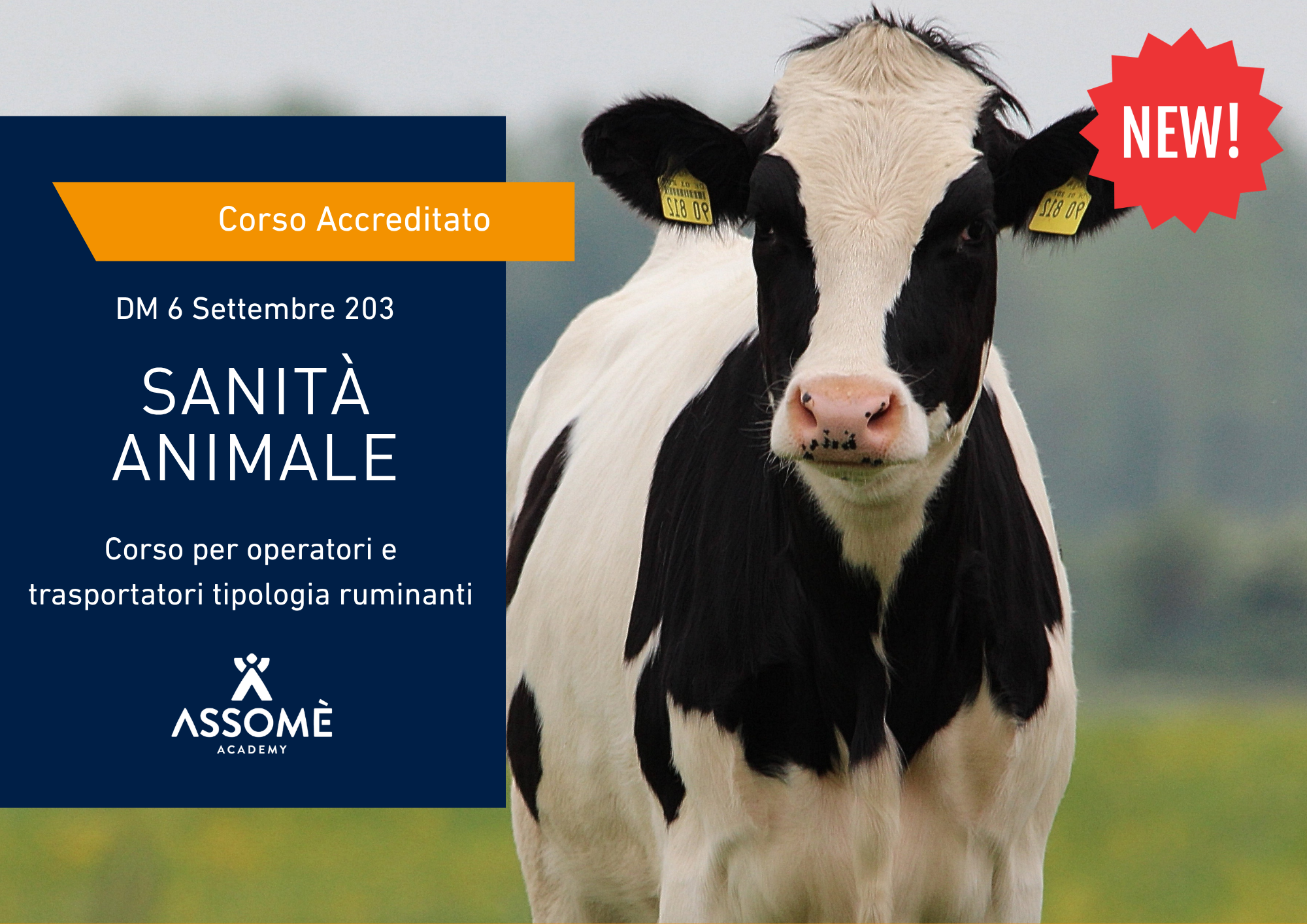 Corso Sanità PER OPERATORI - specie Ungulati (bovini, ovini e caprini, equini, suini, camelidi, cervidi e renne)