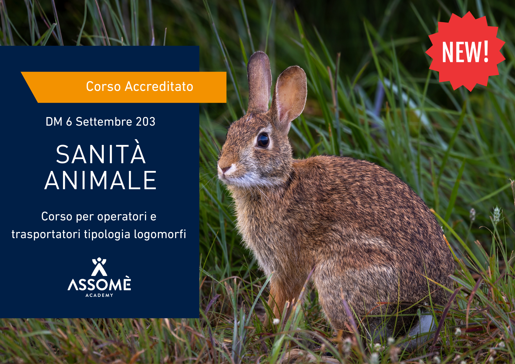 Sanità Animale - Logomorfi